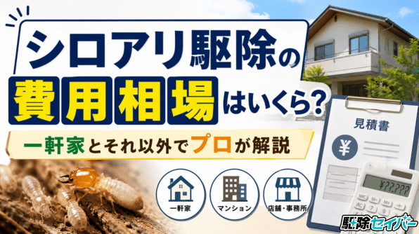 シロアリ駆除の費用相場はいくら？一軒家とそれ以外でプロが解説
