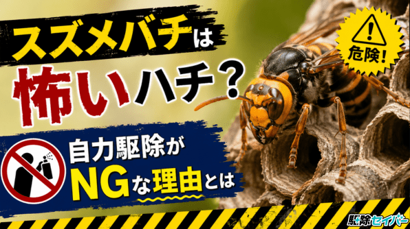 スズメバチは怖いハチ？自力駆除がNGな理由とは