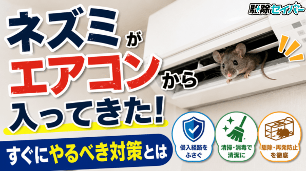 ネズミがエアコンから入ってきた！すぐにやるべき対策とは