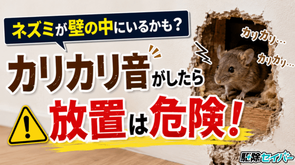 ネズミが壁の中にいるかも？カリカリ音がしたら放置は危険！