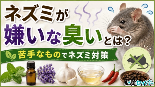 ネズミが嫌いな臭いとは？苦手なものでネズミ対策