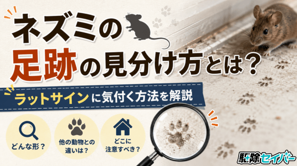 ネズミの足跡の見分け方とは？ラットサインに気付く方法を解説