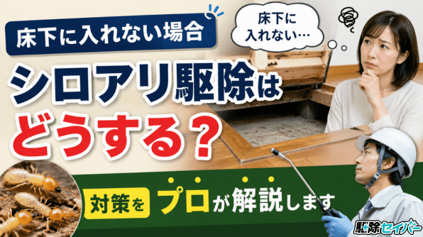 床下に入れない場合シロアリ駆除はどうする？対策をプロが解説します