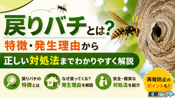 戻りバチとは？特徴・発生理由から正しい対処法までわかりやすく解説